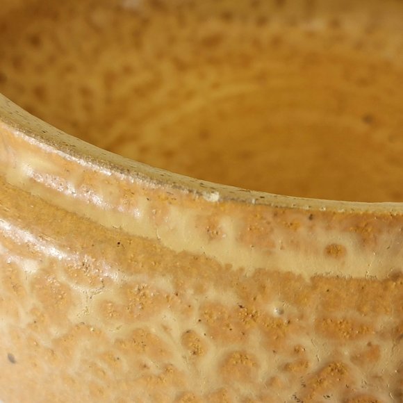 Handmade Stoneware Pot with Lid Grape and Leaf Design Ceramic Matt Glaze Signed - Picture 5 of 10